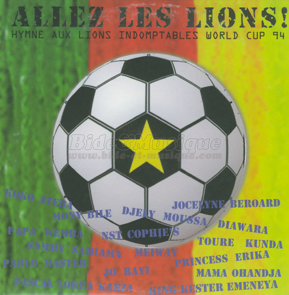 Allez les Lions ! - AfricaBide