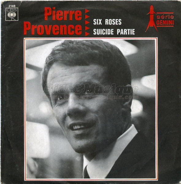 Pierre Provence - Six roses
