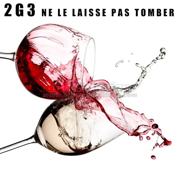 2G3 - Ne le laisse pas tomber