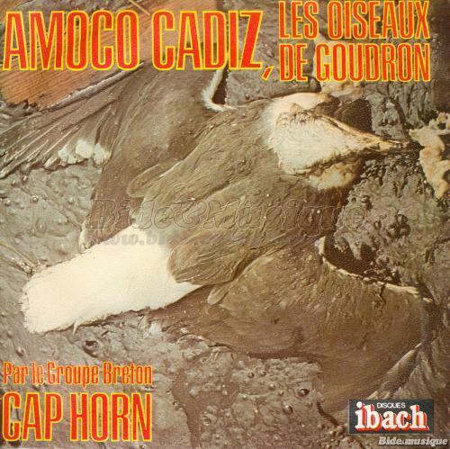 Cap Horn - Amoco Cadiz%2C les oiseaux de goudron