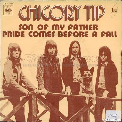 Chicory Tip - Son of my father