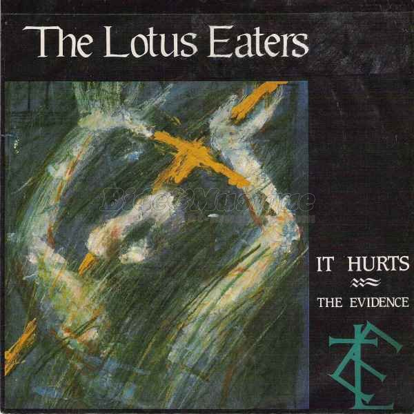 The Lotus Eaters - It hurts