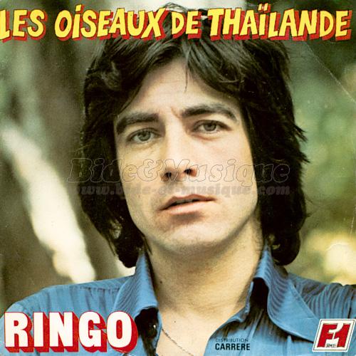 Ringo - Les oiseaux de Tha�lande