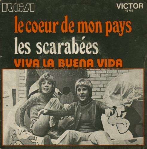 Les Scarabes - Viva la buena vida