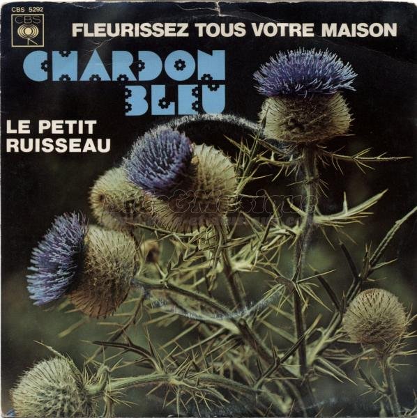 Chardon Bleu - Fleurissez tous votre maison