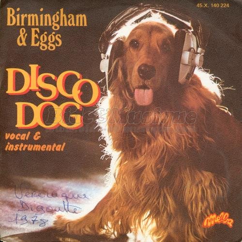 Birmingham and Eggs - Disco dog