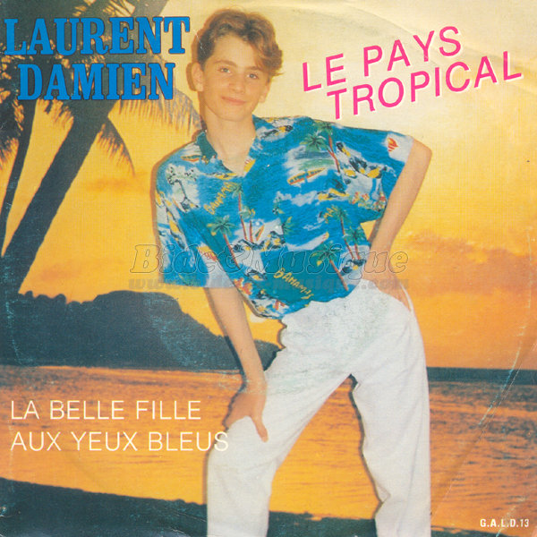 Laurent Damien - Le pays tropical