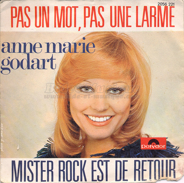 Anne-Marie Godart - Pas un mot, pas une larme