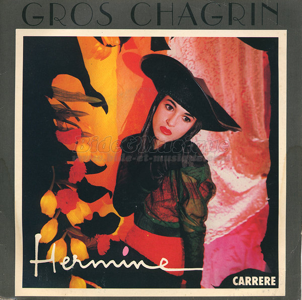 Hermine - Gros chagrin