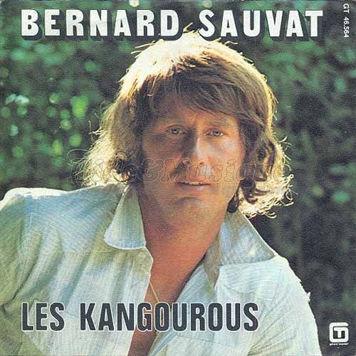 Bernard Sauvat - kangourous, Les