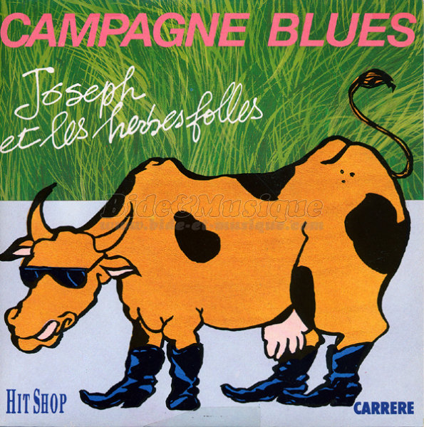 Joseph et les herbes Folles - Tous  la campagne !