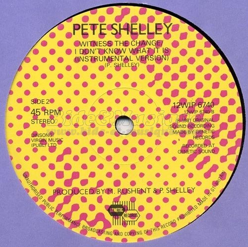 Pete Shelley - Witness the change