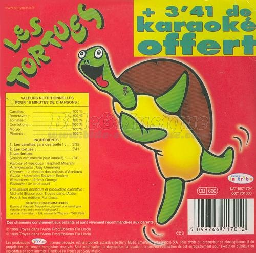 Raphal Mezrahi - Les tortues