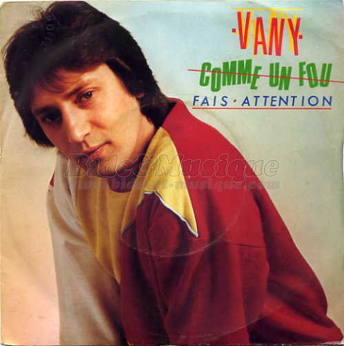 Vany - Comme un fou