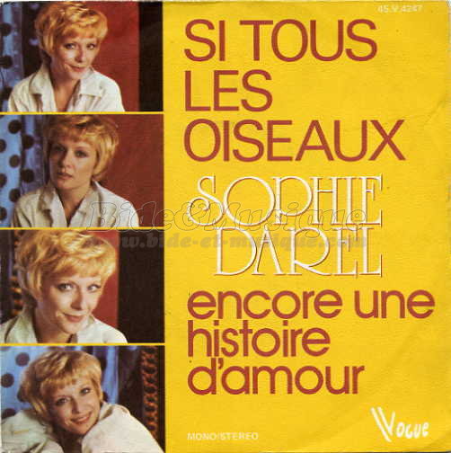 Sophie Darel - bidoiseaux, Les