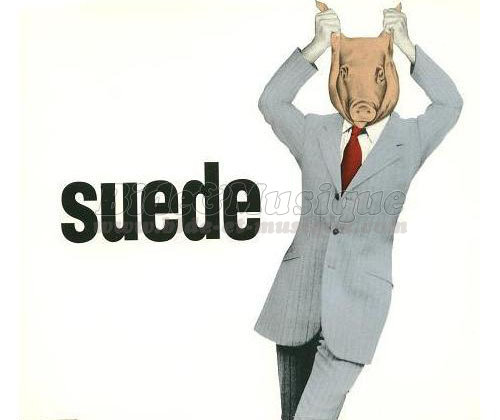 Suede - Animal Nitrate