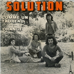 Solution - Comme un taureau