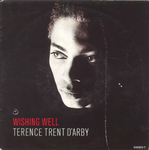 Terence Trent d'Arby - Wishing well