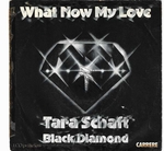 Tara Schaft & Black Diamond - What now my love