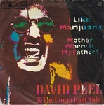 David Peel & the Lower East Side - I like marijuana