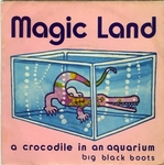 Magic Land - A crocodile in an aquarium