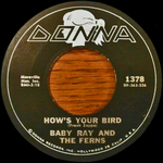 Baby Ray & the Ferns - How's your bird