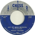 Muddy Waters - Got my mojo working