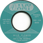 Tico and the Triumphs - Wild flower