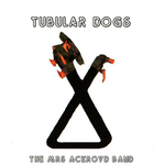 The Mrs Akroyd Band - Will the turtle be unbroken