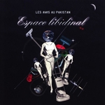 Les Amis Au Pakistan - Cendrillon lave le po�le