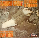 Cap Horn - Amoco Cadiz, les oiseaux de goudron