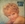 Vignette de Petula Clark - Un Jeune homme bien