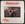 Vignette de Dweezil - My mother's a space cadet