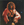Vignette de Michel Polnareff - Rosy