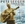 Vignette de Pete Seeger - Erie Canal