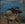 Vignette de C.W. McCall - Columbine
