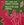 Vignette de Sly & the Family Stone - Dance to the music