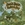 Vignette de The Beach Boys - Heroes and Villains
