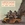 Vignette de The Beach Boys - Surfin' Safari