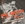 Vignette de Neil Sedaka - Our last song together