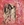 Vignette de Dinosaur Jr. - Freak Scene