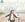 Vignette de My Tam - Ve Chon Thien Duong