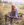 Vignette de Lynn Anderson - No love at all