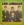 Vignette de Los Angeles - Dime, dime