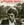 Vignette de Philippe Chatel - Doux mois d'aot