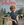Vignette de Petula Clark - Les amoureux des bancs publics