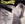 Vignette de Romuald - Chanson pour l'�trangere