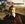 Vignette de George Hamilton IV - If you don't know