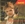 Vignette de Aurore - Micha�l