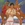 Vignette de Ren� Simard - Sous le sunlight des Tropiques